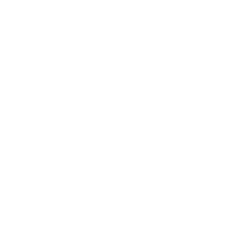 icon4